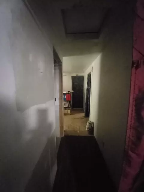 Entry Way - 208 E Main, Hale, MI 48739 photo 2 of 2