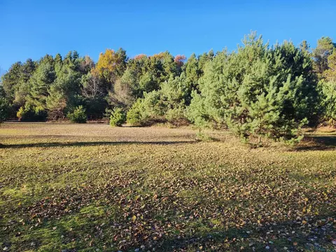 Vl 9 Mile, Kaleva, MI 49645