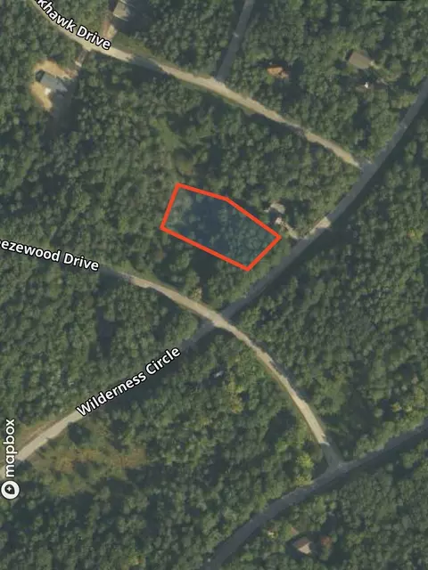 lot35 Wilderness #LOT : 35, Mancelona, MI 49659