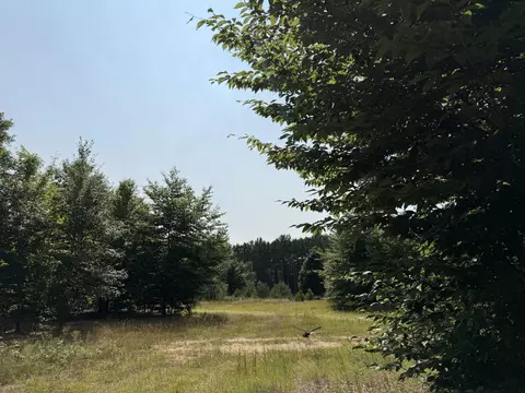 0000 Landis #LANDIS, Thompsonville, MI 49683