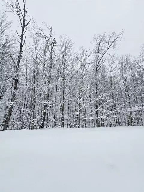 394 Pinedale, Elmira, MI 49730