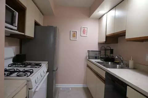 205 E Jolly, Lansing, MI 48910 photo 9
