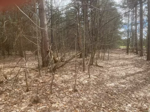 Honor, Interlochen, MI 49643 photo 7