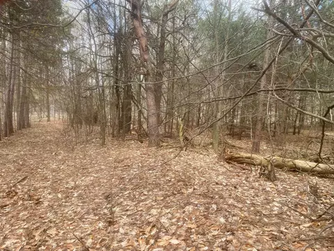 Honor, Interlochen, MI 49643 photo 6