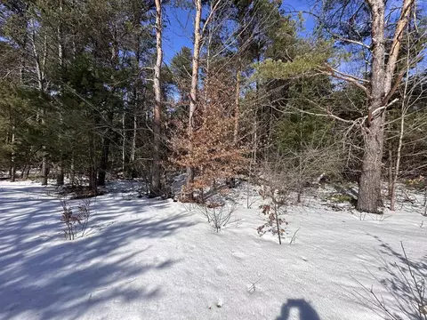 Honor, Interlochen, MI 49643 photo 2