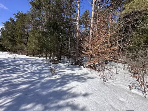 Honor, Interlochen, MI 49643