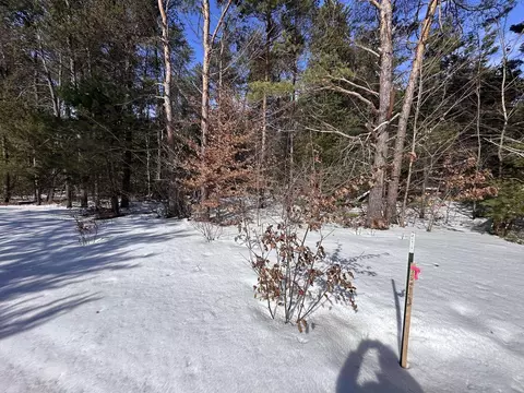 Honor, Interlochen, MI 49643 photo 6