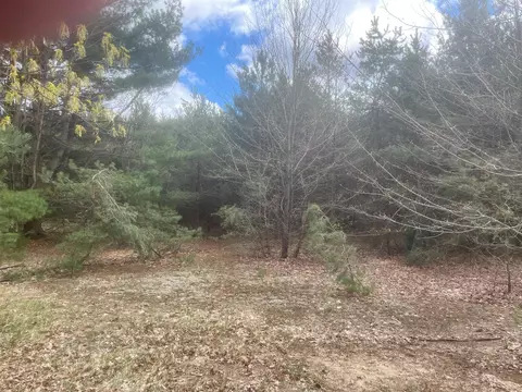 Honor, Interlochen, MI 49643 photo 7