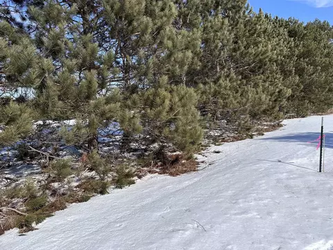 Honor, Interlochen, MI 49643