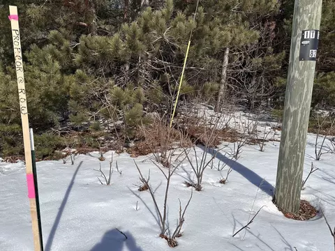 Honor, Interlochen, MI 49643 photo 3