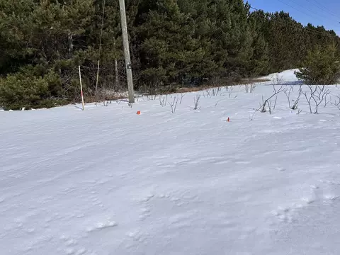 Honor, Interlochen, MI 49643