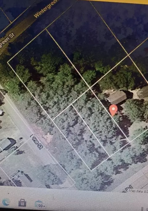 00 Wintergreen, East Tawas, MI 48730