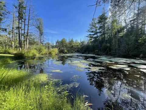 210 Spring #LOT : 22, Kingsley, MI 49649