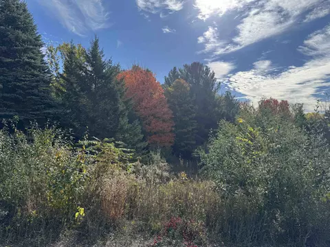 1 6 Acres January, Traverse City, MI 49684