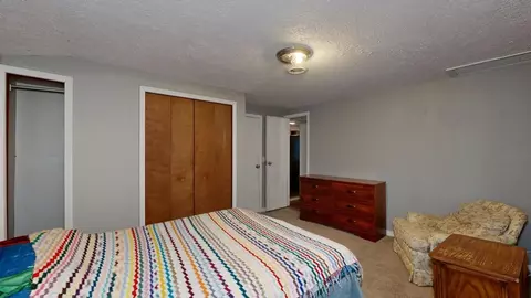 233 E Wright, Shepherd, MI 48883 photo 12