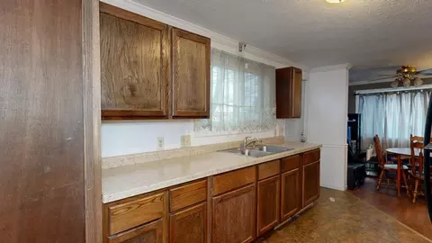 233 E Wright, Shepherd, MI 48883 photo 8