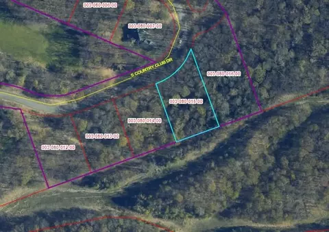 lot15 S S Clb #LOT 15 : 15, Cedar, MI 49621