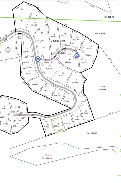 lot13 S S Clb #LOT 13 : 13, Cedar, MI 49621