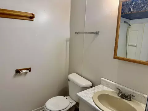302 N Pine Riv, Ithaca, MI 48847 photo 17