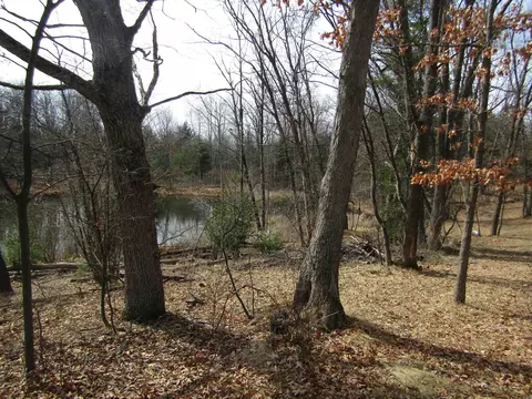 00 W _vl W Caribou #LOT : 216, West Branch, MI 48661