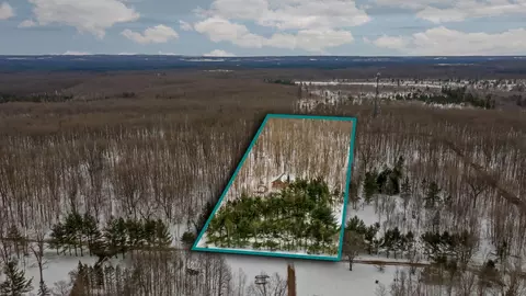 14432 SE Morel, Grayling, MI 49738 photo 29