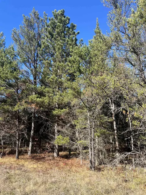 0000 E North Down Riv #LOT 364, Grayling, MI 49738