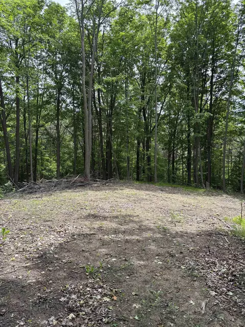 Parcel A N 45, Manton, MI 49663 photo 2