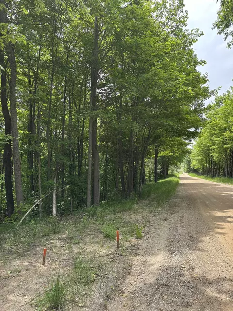 Parcel A N 45, Manton, MI 49663 photo 6