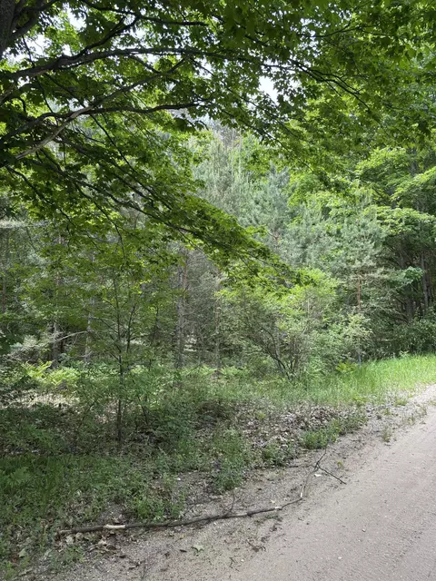 Parcel A N 45, Manton, MI 49663 photo 11