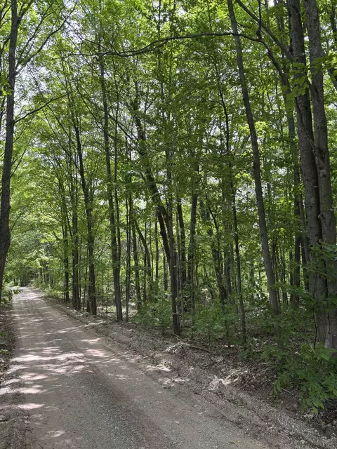 Parcel A N 45, Manton, MI 49663 photo 8