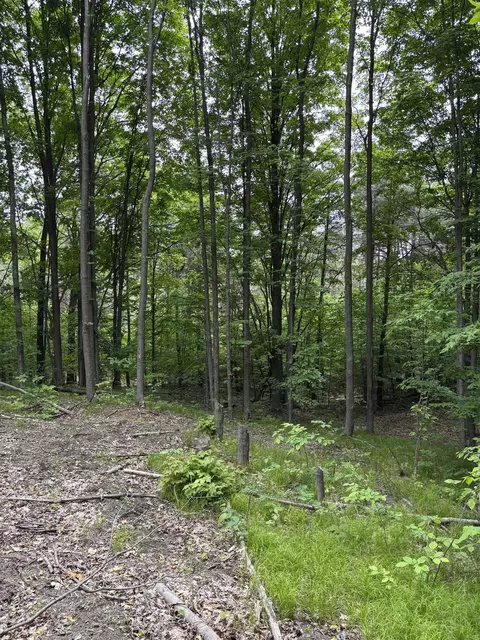 Parcel A N 45, Manton, MI 49663 photo 3