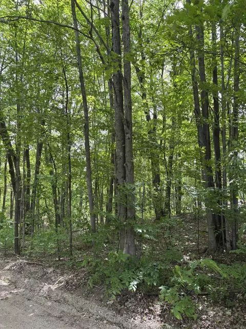 Parcel A N 45, Manton, MI 49663 photo 9