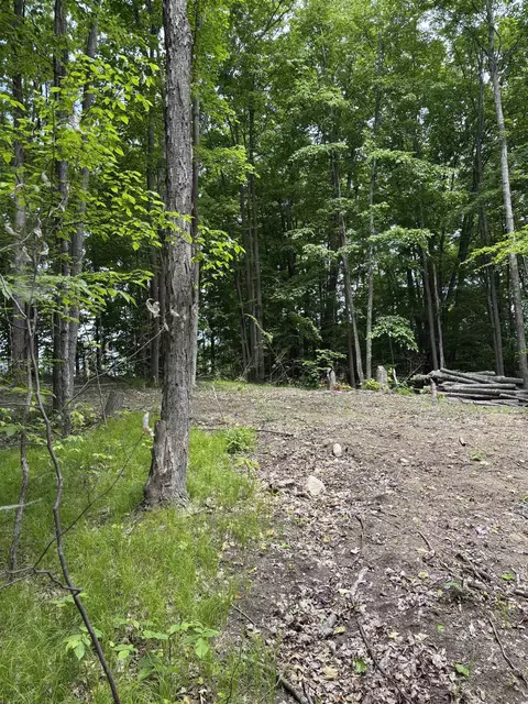 Parcel A N 45, Manton, MI 49663 photo 4