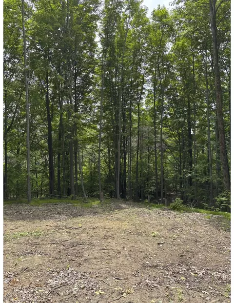 Parcel A N 45, Manton, MI 49663