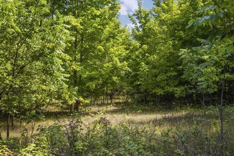 S Hill, Cedar, MI 49621 photo 4