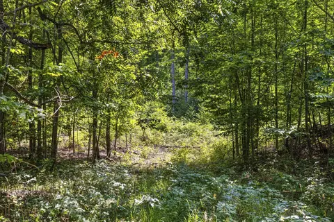S Hill, Cedar, MI 49621 photo 12