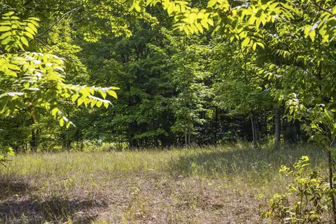 S Hill, Cedar, MI 49621 photo 2