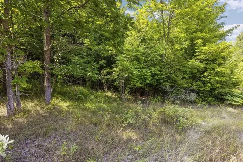 S Hill, Cedar, MI 49621 photo 6