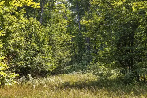 S Hill, Cedar, MI 49621 photo 7