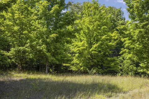 S Hill, Cedar, MI 49621 photo 3