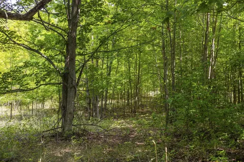 S Hill, Cedar, MI 49621 photo 13