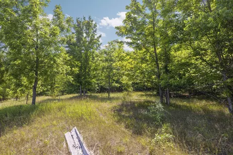 S Hill, Cedar, MI 49621 photo 5