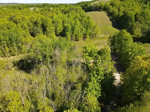 tbd Pesek, East Jordan, MI 49727