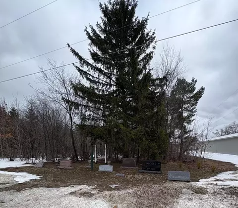 00 Cedar Riv, Mancelona, MI 49659