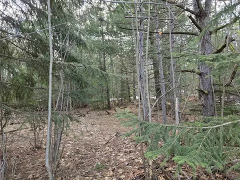 0001 Cedar Riv, Mancelona, MI 49659