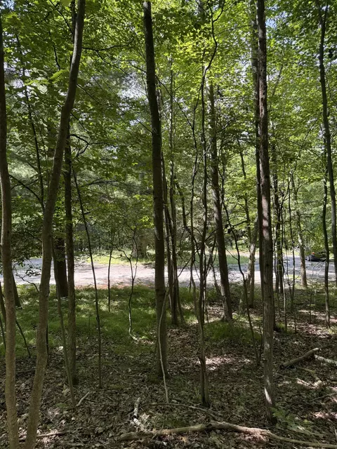 tbd Rivers Edge, Mount Pleasant, MI 48858
