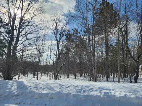 V/L Belmont #: 219, Mancelona, MI 49659