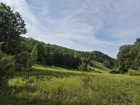 lot N A N Crossover #LOT : A, Bellaire, MI 49615