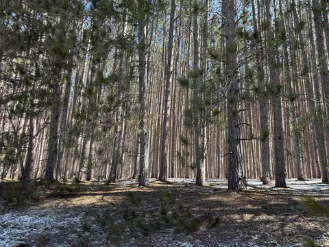 N Wheeler Lake, Kalkaska, MI 49646