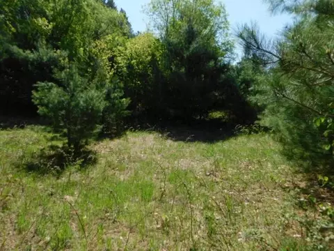 N Wheeler Lake, Kalkaska, MI 49646